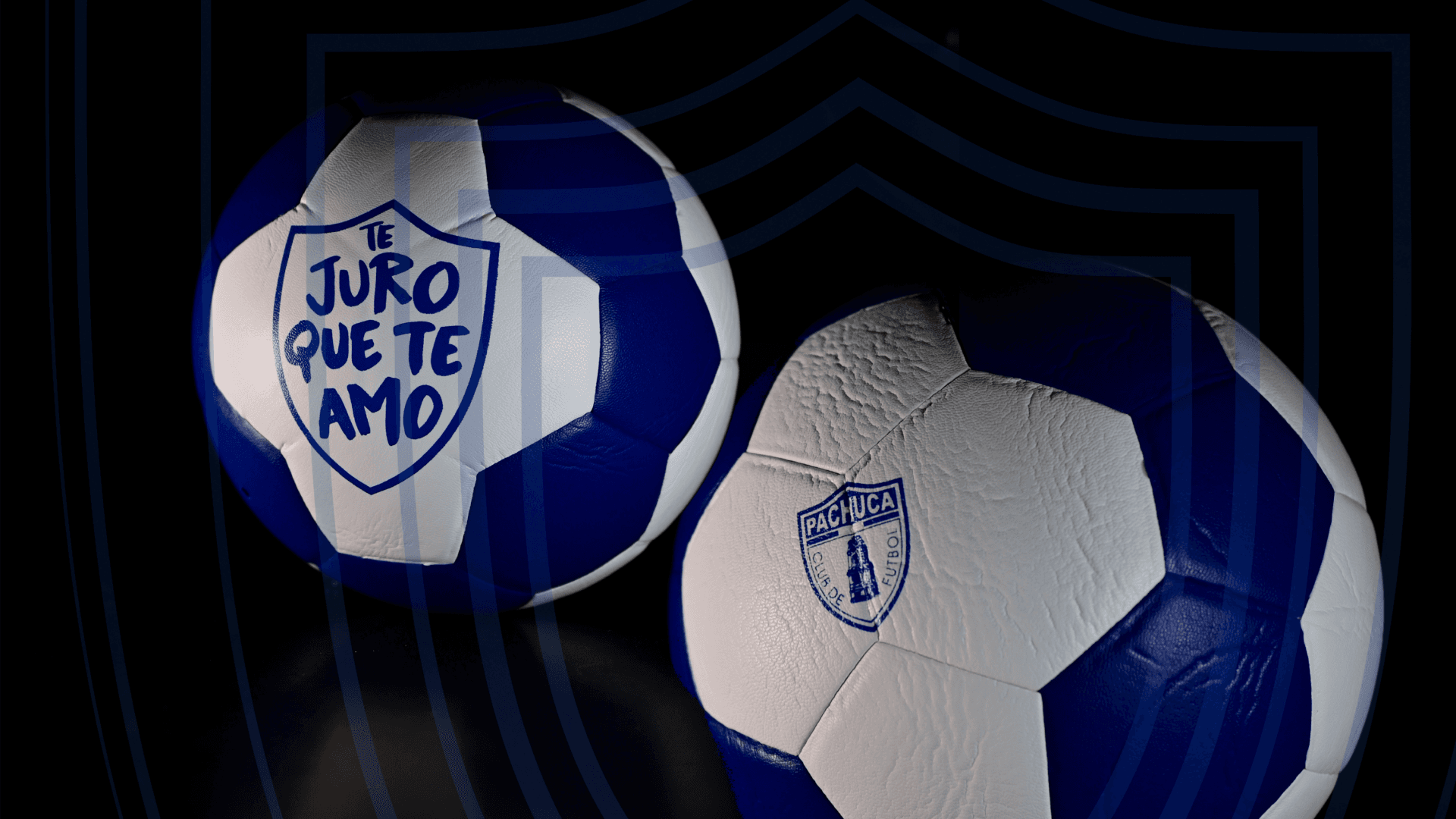 Official Ball - Signed by William Carvalho