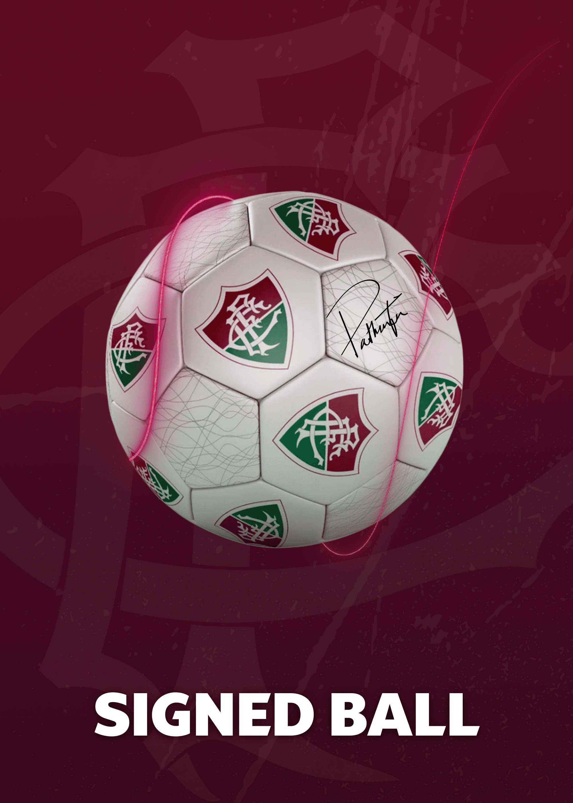 Official Ball - Signed