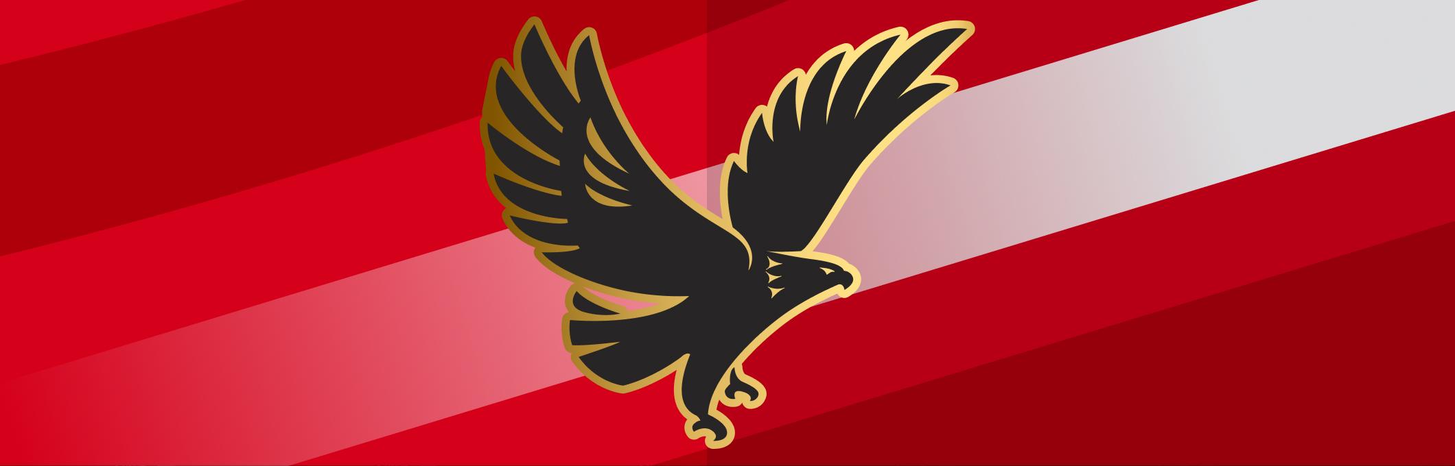 Al Ahly FC