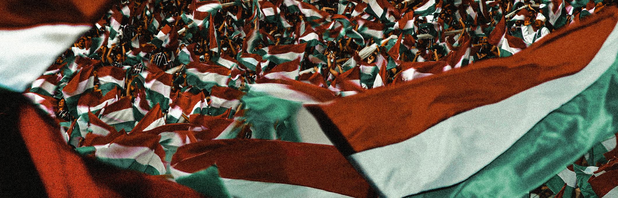 Fluminense FC
