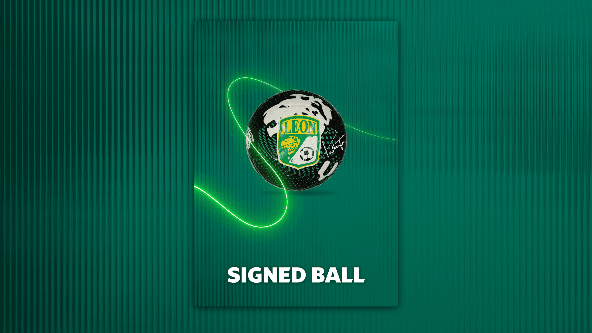 Official Ball - Signed
