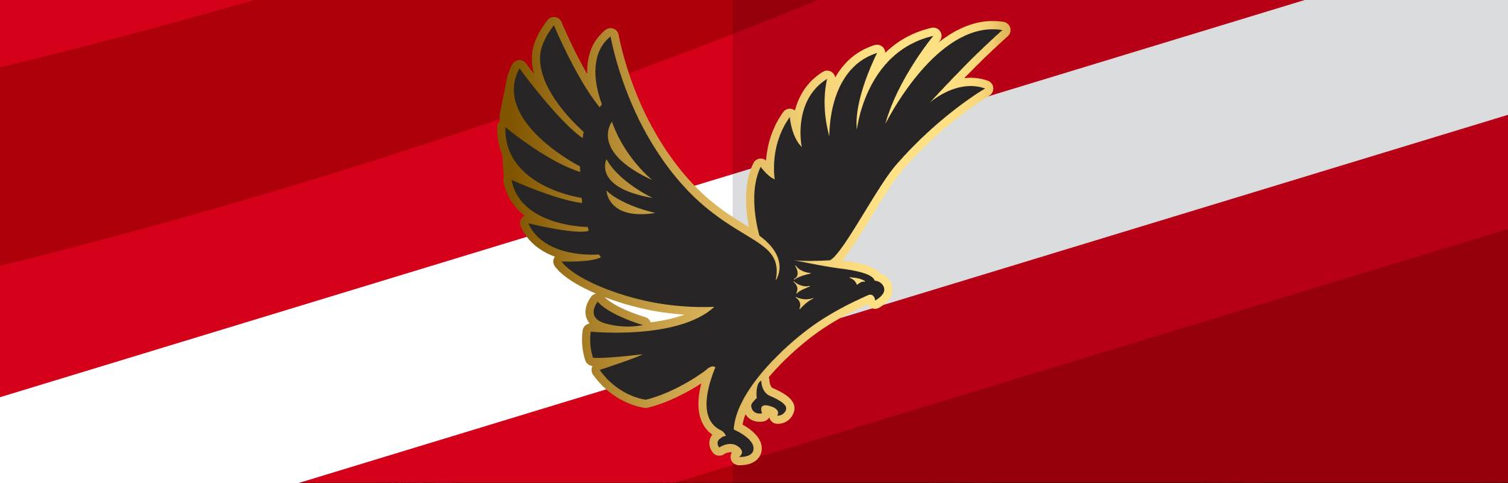 Al Ahly FC