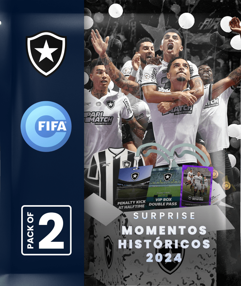 Botafogo FR - Momentos Históricos 2024