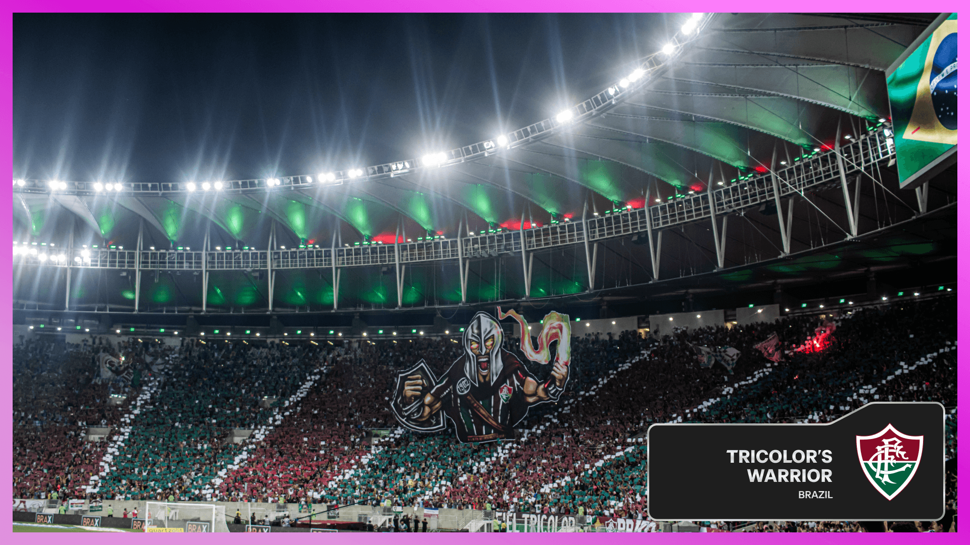 Tricolor's Warrior