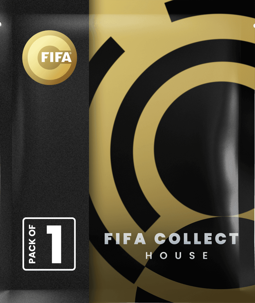 Day Pass for the FIFA Collect House