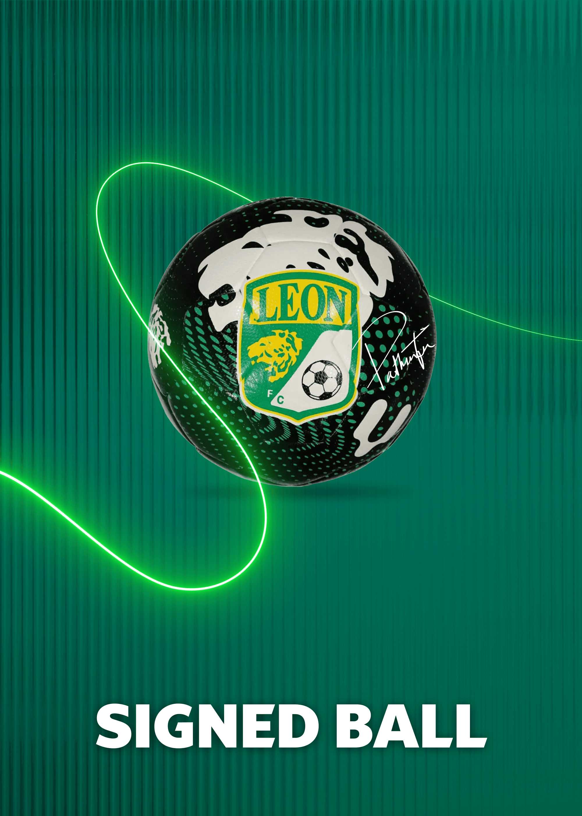 Official Ball - Signed