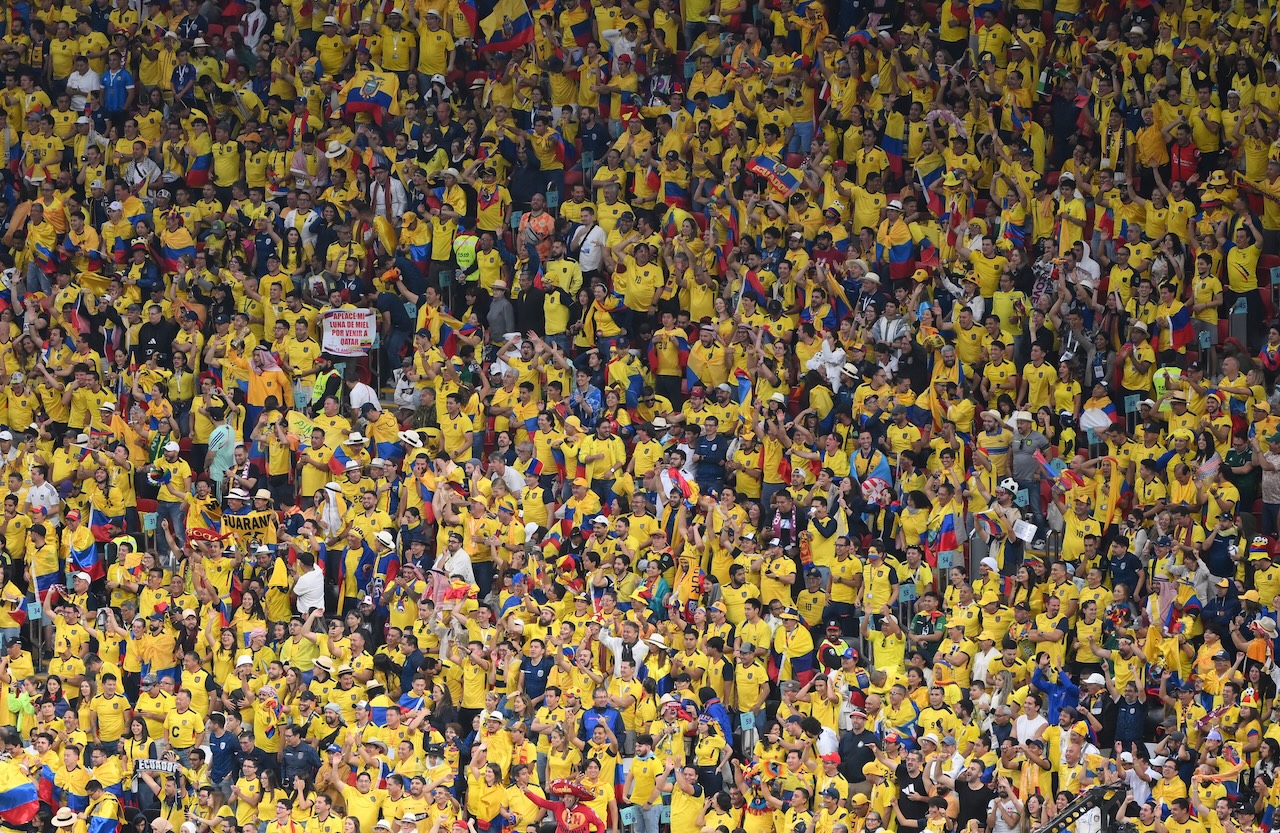 Large crowd of Ecuador football fans in yellow shirts cheering and waving flags during a World Cup match.